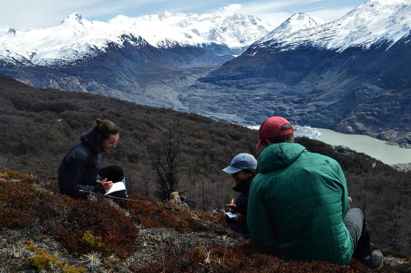 3 students sitting on a hillside taking notes on the vegetation