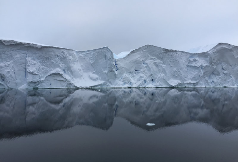 A floating glacier ice shelf in the ocean